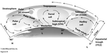 Global Atmospheric Circulation: Polar Circulation Polar Cell is the circulatory loop in the polar regions Polar High-Pressure System Air flowing northward from midlatitudes