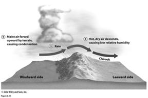Local Wind Systems: Topographic Winds Chinook Wind Occurs when a steep pressure gradient develops in