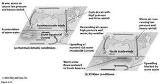 Reversal of normal flow of currents and winds in tropical Pacific Occurs