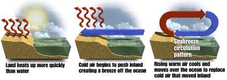 Area of Low Pressure Creates a sea breeze because cooler air over water (higher pressure) moves toward the warmer land (lower pressure) o Sea breezes can be a significant moderation influence At