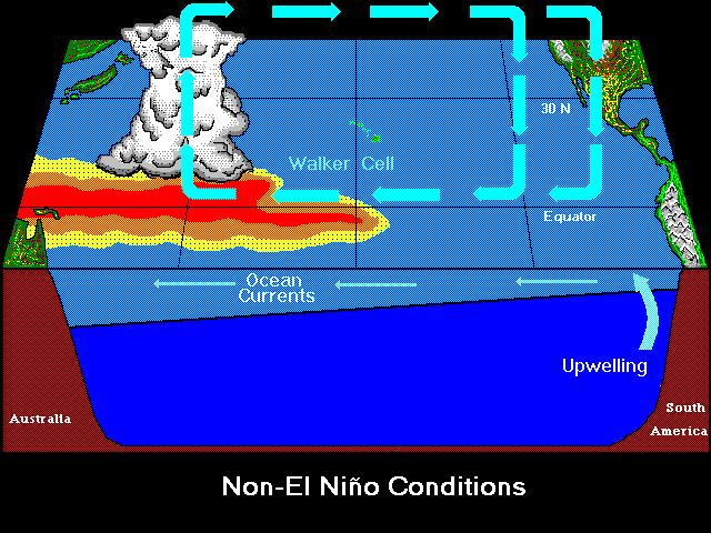 During most El Niños, warmer than normal winters occur in the Northern U.S.