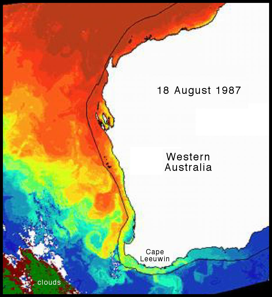 Left: Sea surface temperature in August 1987.
