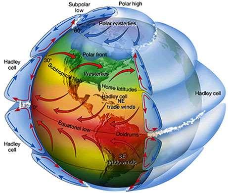 Tricellular (cont) As the rising air cools to the temperature of the surrounding air, uplift stops and the air moves away from the Equator.