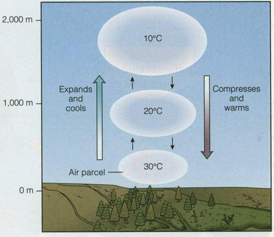 and cooling and condensation If rapid enough = storm Eventually, at high altitude vapor water is lost and air mass is cooled Causes air mass to sink Compresses under pressure and Warms Vertical