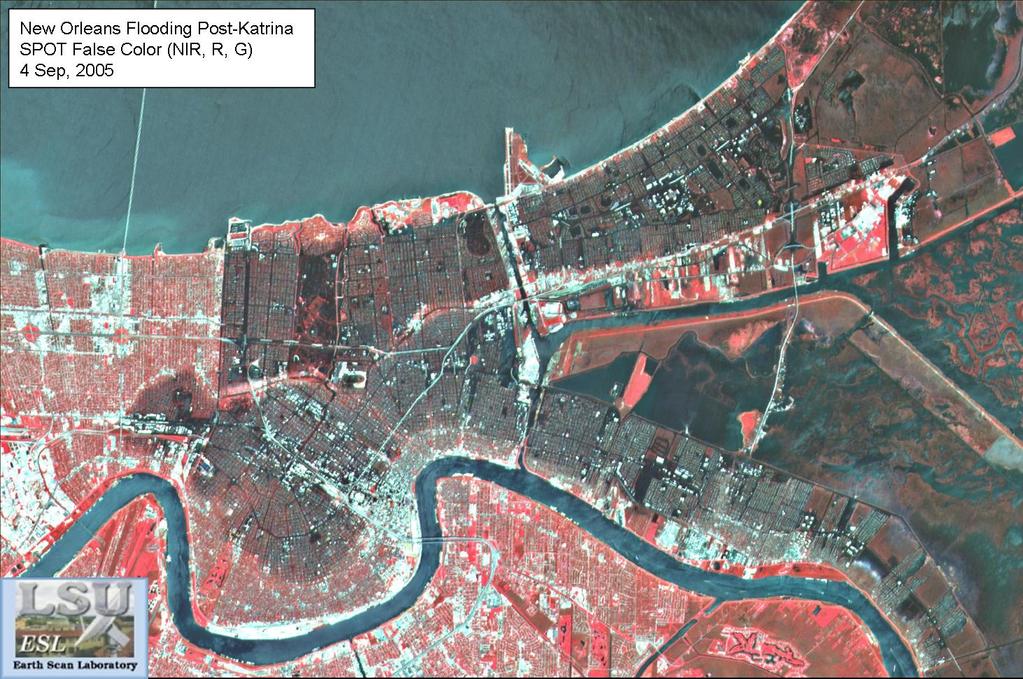 sediment in healthy saltmarsh wetlands] Katrina Damage From Katrina: Much of it avoidable Nov.