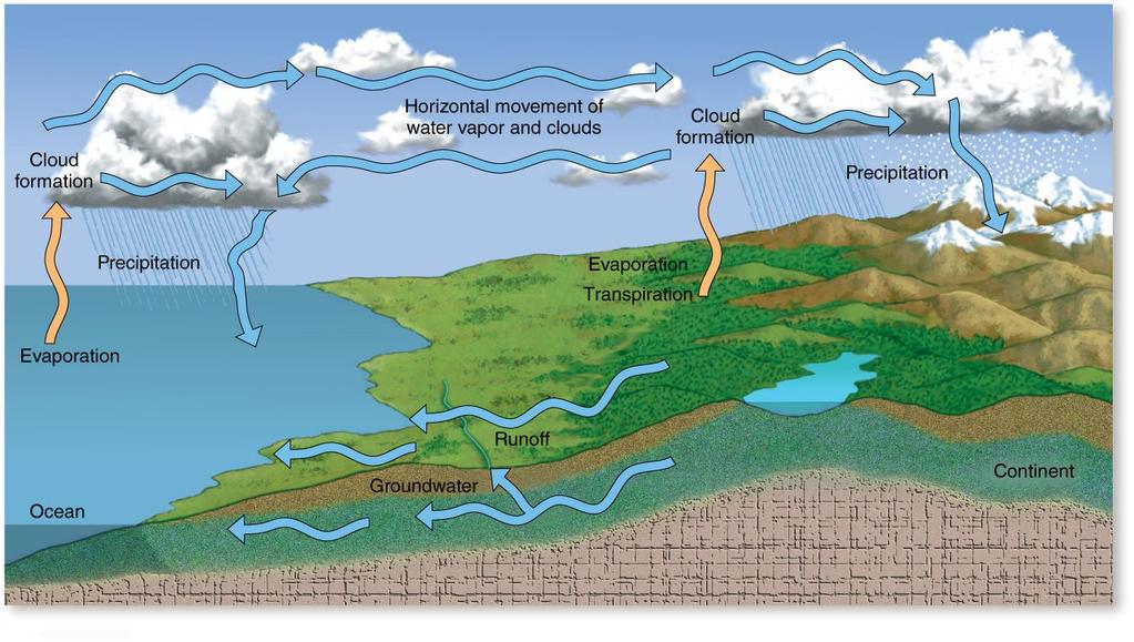 The Hydrologic Cycle What is the main