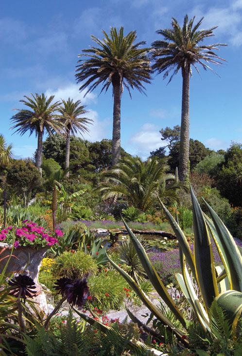 Chapter 9: Circulation of the Ocean Tropical gardens on Britain s Scilly Isles.