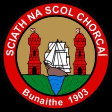 Victory For Minor Hurlers In League Final Valley Rovers minor hurlers completed the double of league titles with a hard fought but well deserved win over St Colman s who are the reigning county