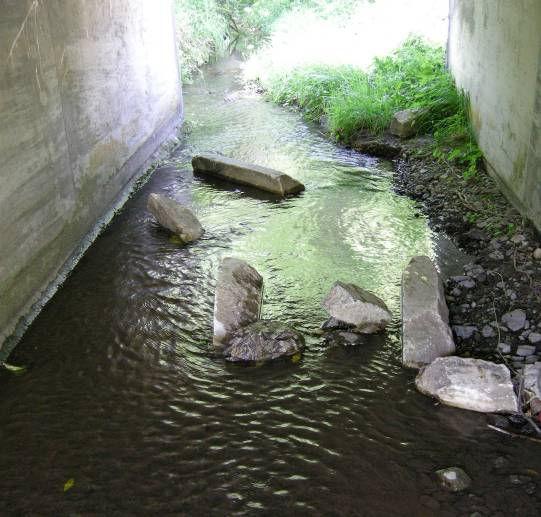 To determine whether fish passage success depended on habitat variables (i.e., water depth and velocity, stream width) I tested for differences in conditions upstream and downstream of the culverts (Table 3).