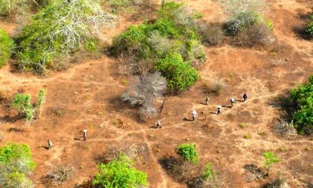 Photograph 23: Six poachers arrested on Shango Island by AMC