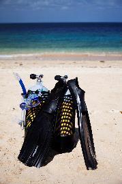 SCUBA COURSES Courses range from those designed for children and beginners through to full certification up to Divemaster level of training.