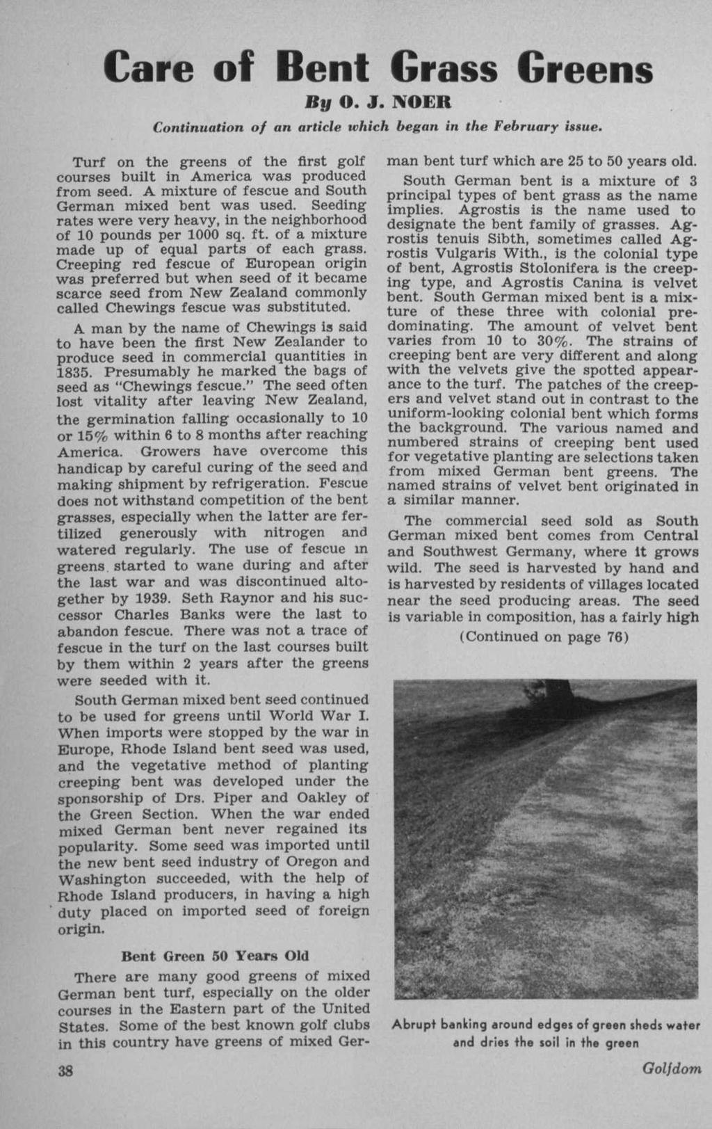 Care of Bent Grass Greens By O. J. NOER Continuation of an article which began in the February issue. Turf on the greens of the first golf courses built in America was produced from seed.