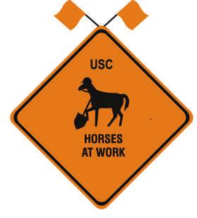USC HORSES AT WORK Table of Contents Welcome/General Information Guidelines p2 p4/p5 Lucy Cuthbertson Memorial Information p6 Greenhawk Equitation Series Jumper Equitation Challenge Daily Show