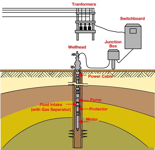 has changed. Drawdown and buildup data can be measured using downhole pressure recorders. Producing bottomhole pressures can also be measured at different rates.