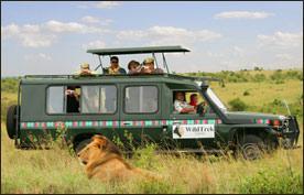 THE RESERVATIONS TEAM We are always the top at providing services to our clients and go our way out to making sure you get a relaxing and memorable safari.