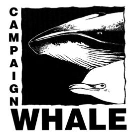 EDUCATION RESOURCES: Facts about whales, dolphins and porpoises What is a whale? Whales are warm-blooded mammals that live in the sea, breathe air, and nurse their young with mother's milk.