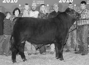 FLUSH FROM TRIPLE J-R CATTLE COMPANY LOT 12 6 Embryos from CX Ms Excaliburs Power 198/P CX Ms Excaliburs Power 198/P 12 FLUSH CX MS EXCALIBURS POWER 198/P Consignor: Triple J-R Cattle Co.