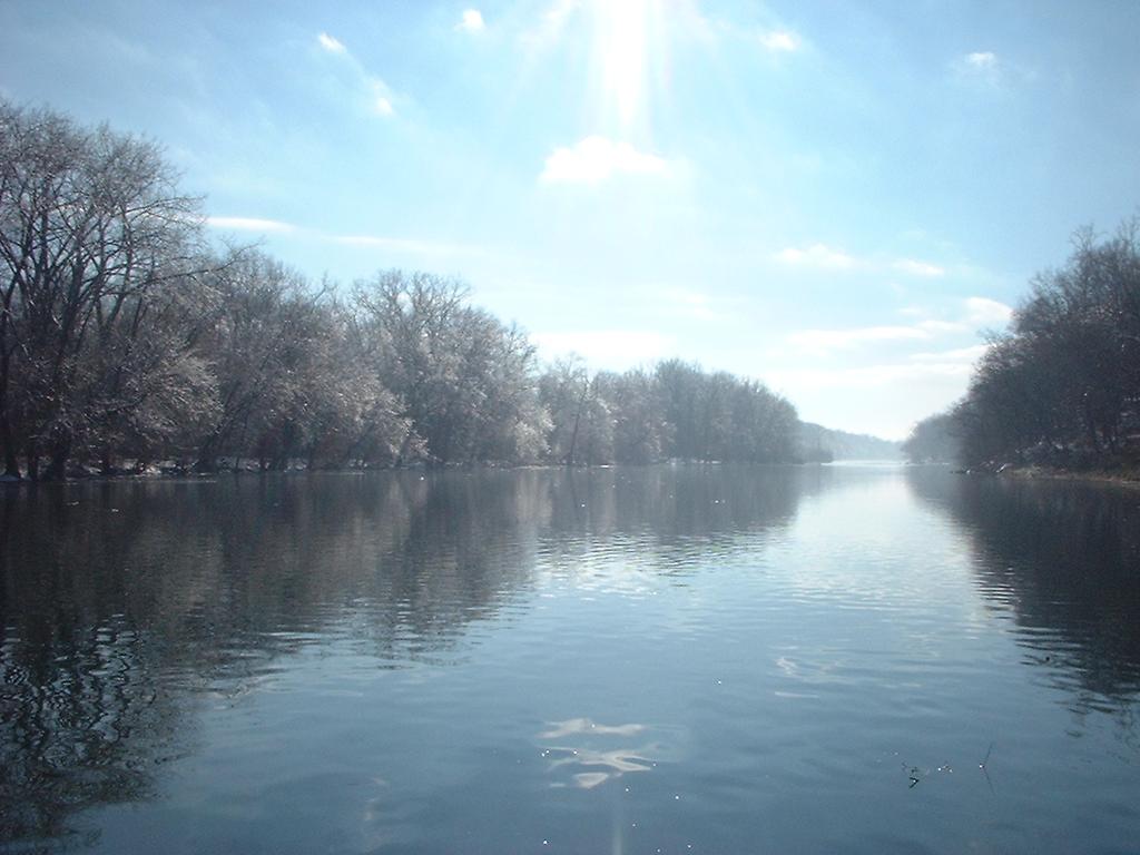Uptake of Mercury and Relationship to Food Habits of Selected Fish Species in the Shenandoah River Basin, Virginia G. W.
