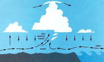 A sea-breeze front is a weather front created by a sea-breeze, as a convergence zone.