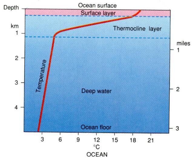 Vertical profile of ocean water temperature Mixing zone: also called surface layer, driven by winds, warmest (by the Sun) Thermocline transition zone: thermocline layer, friction & viscosity dampens