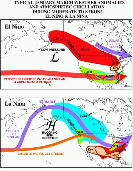 During El Niño, increased precipitation in California due to a more southerly, zonal, storm track.