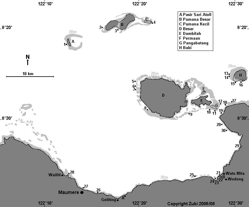 Map of the dive sites in Maumere Bay 1. Atoll Pasir Sari (Gosong Bone Atoll) - 2. Pamana West - 3. Pamana South - 4. Pamana Kecil - 5. Labuan Tur - 6. Easteregg - 7. Happy Wall - 8. Maragajong - 9.
