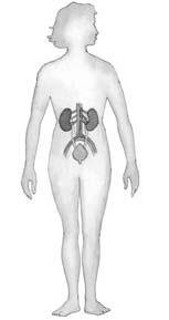 (10 points) Heart Ureter 7 6 Nostrils Bladder 8 Small intestine Stomach 2 9 10 Blood