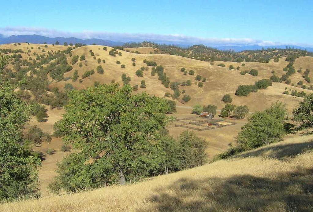 PThe 16,000 acre Pettyjohn Ranch is located on the west side of Tehama County twenty miles from Red Bluff, CA on