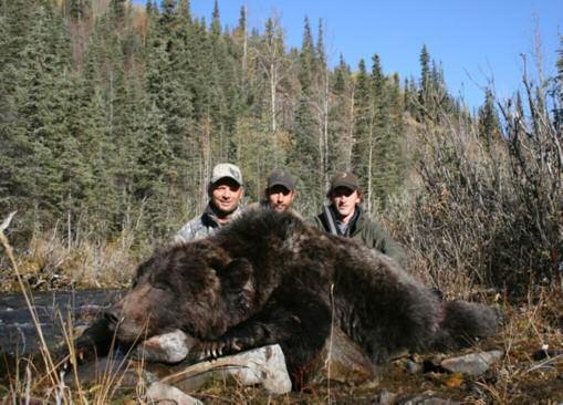 These are true interior grizzlies, with most good bears squaring between 8-9 feet. Highly recommended hunt. Hunter can harvest elk, mt.