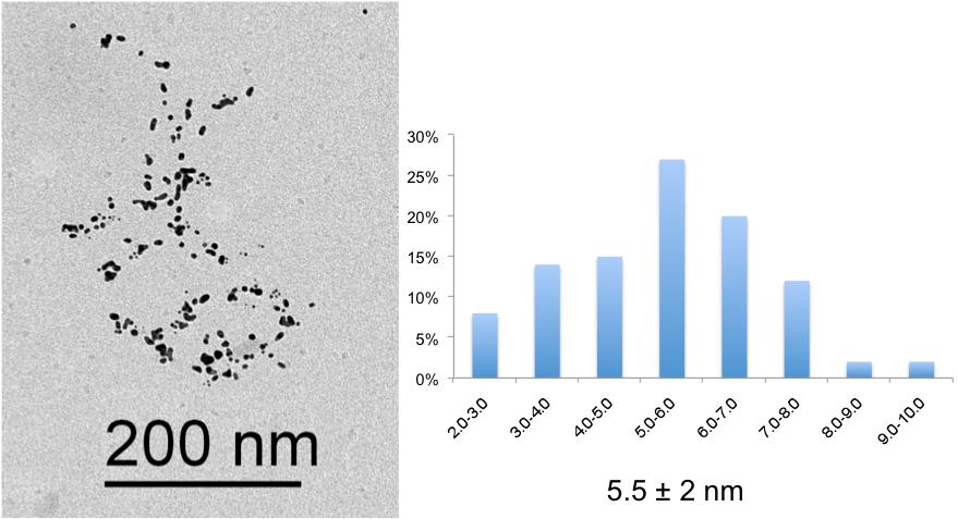 II. Synthesis of AuNPs in the water solutions A, B, C, D, and E. 1.5 mg of HAuCl 4 (Mw = 339.7 g.mol-1, n = 4.4 x 10-3 mmol) is dissolved in 32 ml of water in order to obtain [Au] = 1.38 x 10-1 mm.