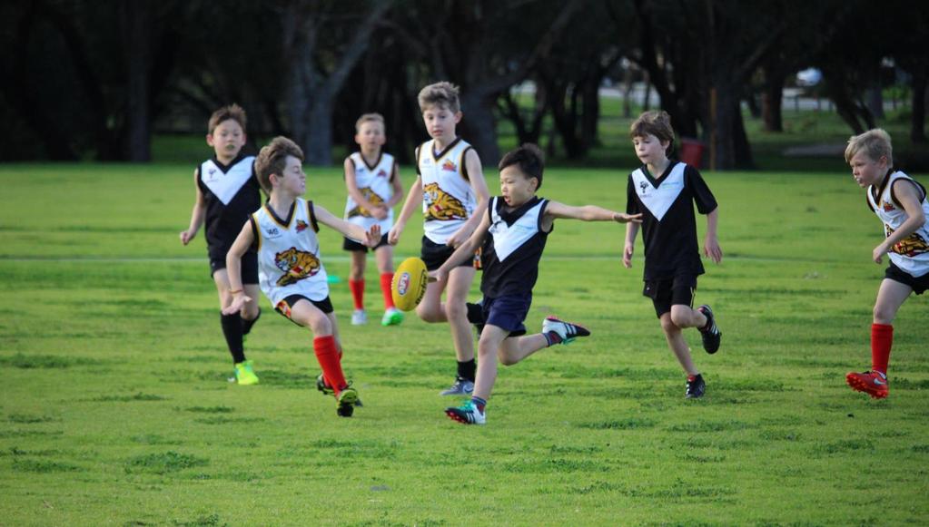 ship packages for 2017 and onwards The Wembley Junior Football Club has a very high profile across the Western Suburbs, with over 300 5 to 15 year-old boys and girls taking part in the 2016 season.