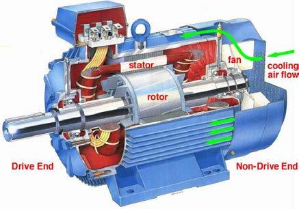 Stator: The stator or the windings develop the rotating magnetic field that put torque on the rotor that turns the shaft.