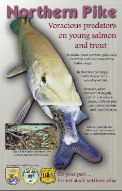 Outreach Public Outreach Education Brochures Web sites PSAs Fishing DVD Message: