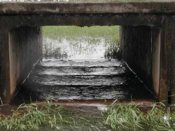 A key point in deciding for or against the use of fishways is to understand that there are different types of fishway designs, and that each design is different in terms of its cost and its ability