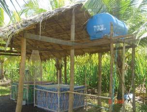 Effectiveness of mobile and permanent hatchery practised by community fi sheries - -