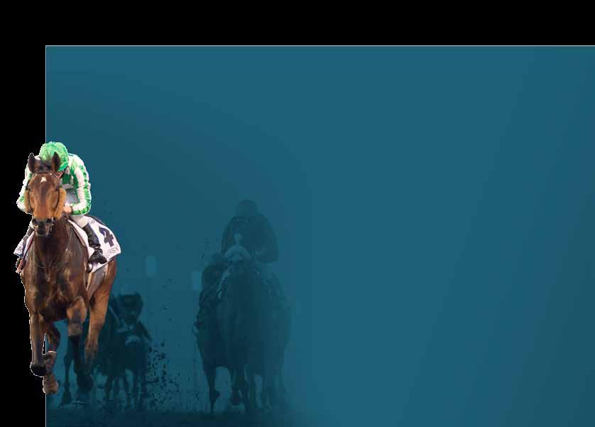 Content Horse racing: UK & Irish We collect and produce UK and Irish horse racing content and