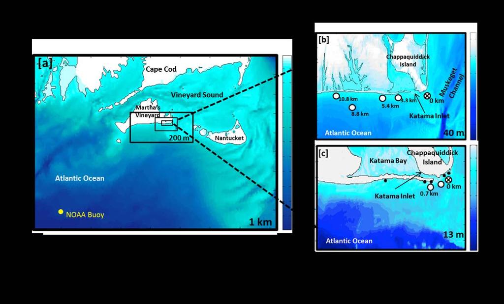 (iii) Remote Sensing We compared lidar with pressure-sensor observations of waves in the inner surf and swash zones (Brodie et al. 2015).