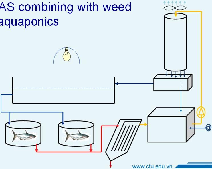 combining with weed tank or aquaponics