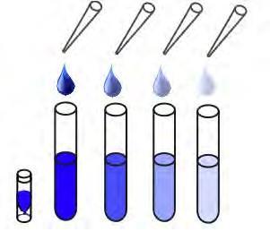 Assay Protocol Reagent Preparation Allow the kit reagents to come to room temperature for 30 minutes.