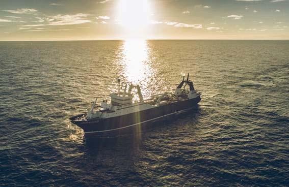 Executive Summary Modernizing the North Pacific commercial fishing fleet has become an increasingly important issue for Washington s maritime industry in recent years.