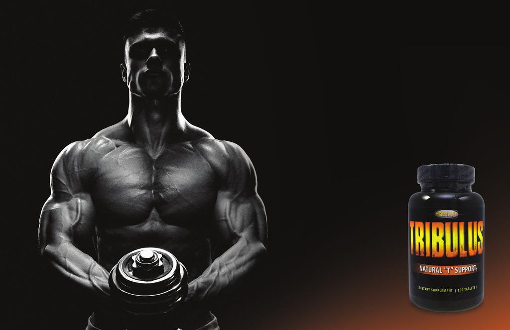 TRIBULUS All-Natural T BOOSTER Achieve YOUR Potential for Enormous Gains Tribulus with 1,000 mgs 22% Extract will provide YOU with effective and dramatic results!