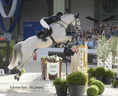 A show jumping partnership enables investors to own a part of a show jumping horse at a fraction of the cost.
