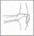 To assist with the rotation of the elbow the hand should be positioned so that the