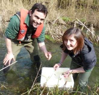 Current hatchery focus River Itchen, Hampshire Two remaining populations in county A.