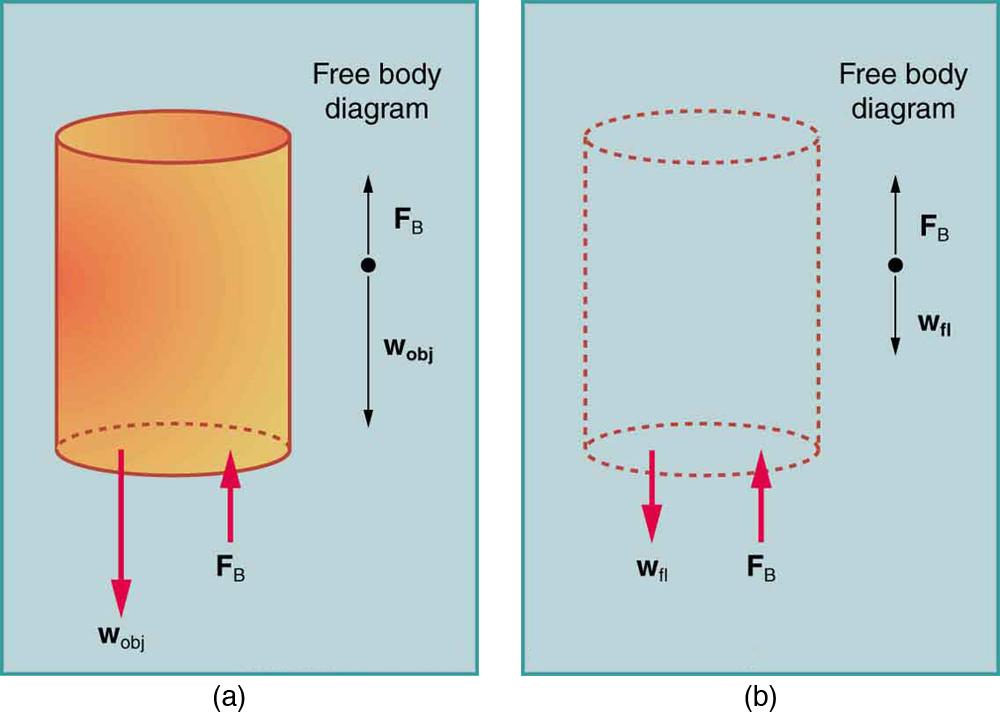 Connexions module: m42196 3 Figure 3: (a) An object submerged in a uid experiences a buoyant force F B. If F B is greater than the weight of the object, the object will rise.