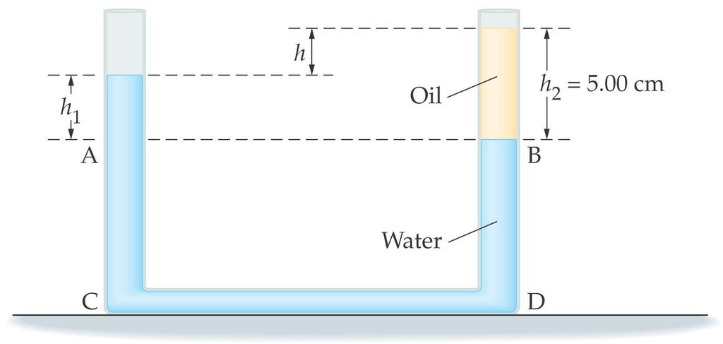 15-3 Static Equilibrium in Fluids: Pressure and Depth This is true in any container where the