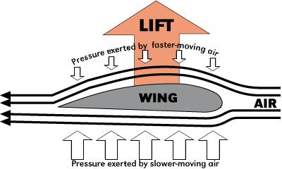 Bernoulli s Effect and Lift PP + 1 2 ρρρρ2 + ρρρρρρ = cccccccccccccccc Newton s 3 rd law (air pushed downwards) Lift