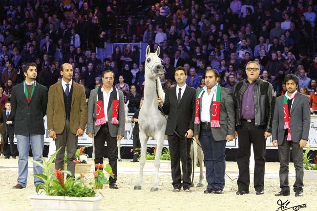 LADI VERONIKA Silver Medal Mares (Versace/Nisrs Natevka) Owner: Dubai Arabian Horse Stud (UAE) Breeder: Linda I Coger (USA) ding next to her in the ring at the first six places of her class, as well