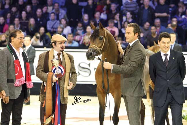 LAYAN AL KHALEDIAH Bronze Medal Fillies (Dakharo*/Padrons Amour) Owner/Breeder: Al Khalediah Stables (SAU) medal of World Championships 2009 went again to the filly owned by her Middle Eastern
