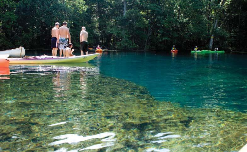 There are at least 12 known springs along the upper 1.5 miles of the river. The smallest, Cassidy Spring, is neatly tucked away in a half bowl of cypress and sweet gum trees.